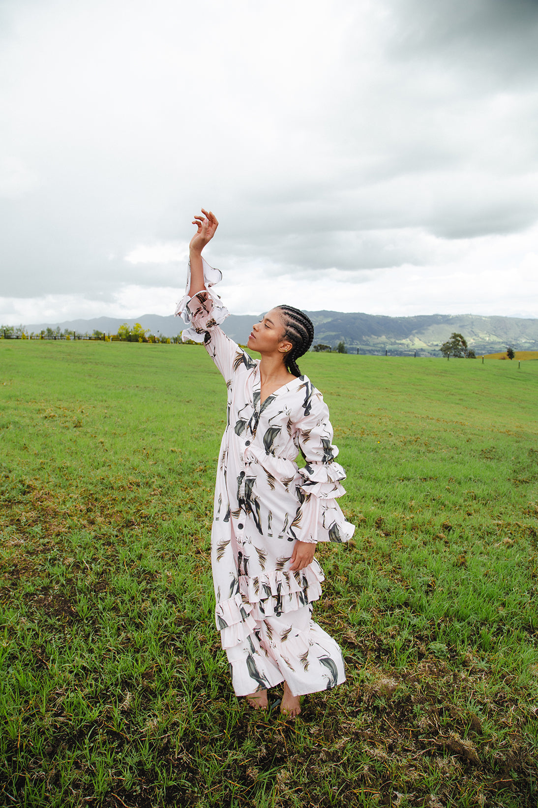 Gaucho Ruffle-Sleeve Poplin Maxi Shirt Dress – Horse Print