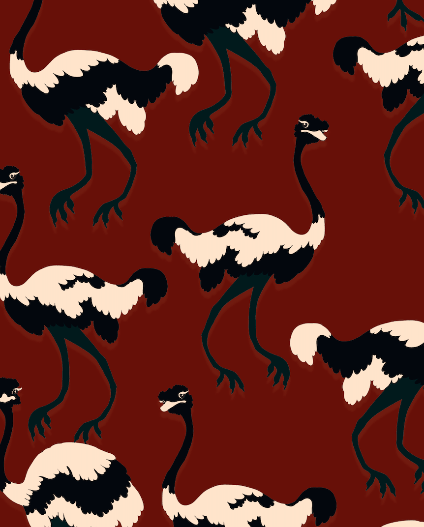 Exuding more ostrich curiosities - Lulo Project