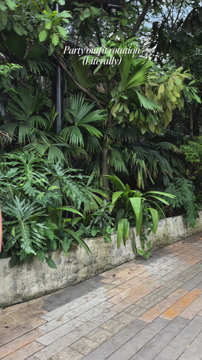 Nella Mesh Column Maxi Dress